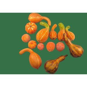Variety of 14 Fall Decorative Artificial Pumpkins Squash Home Decor